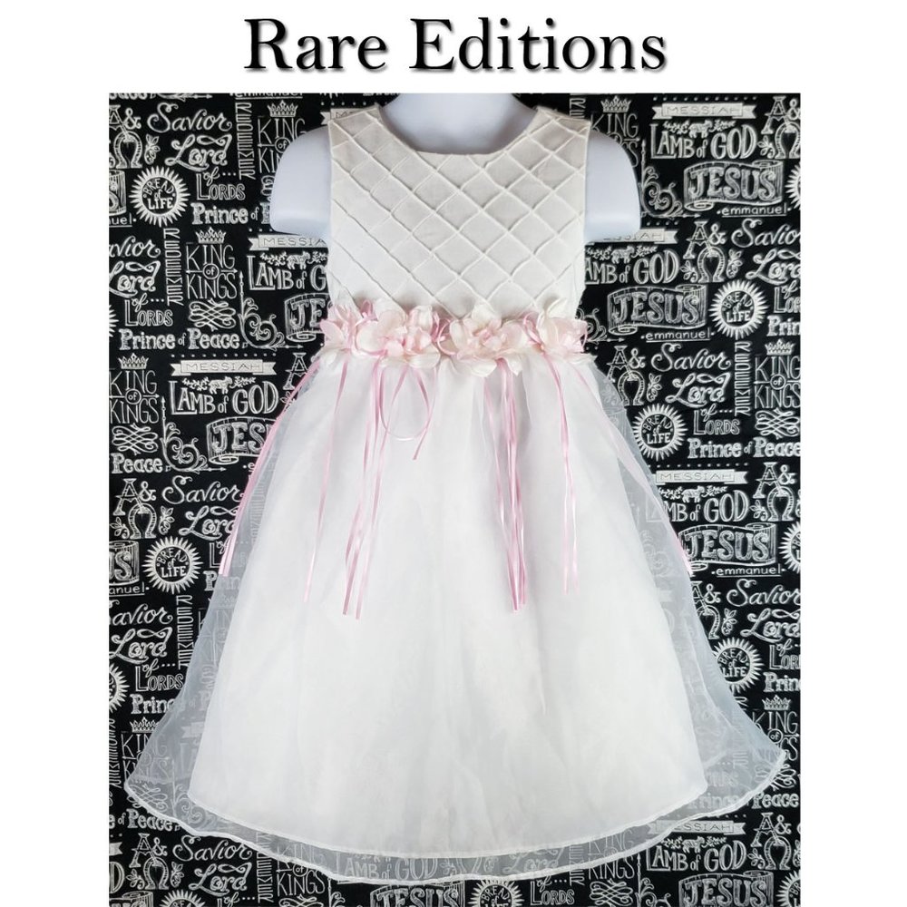 Rare Editions Dress Size 4T/4